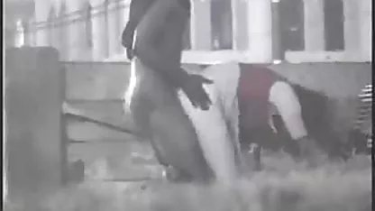 Lucu hitam jangkar anal video bokep cantik mulus seks di stoking